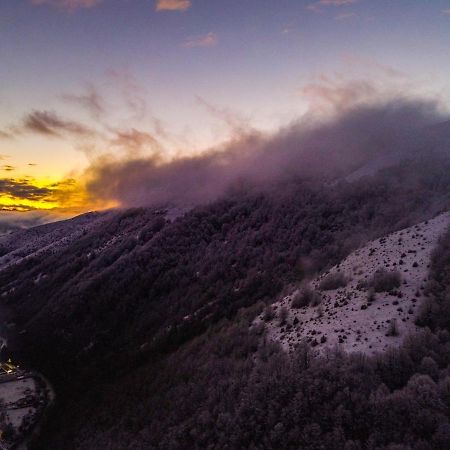 Pensiunea Alunul Remeţi Exteriér fotografie